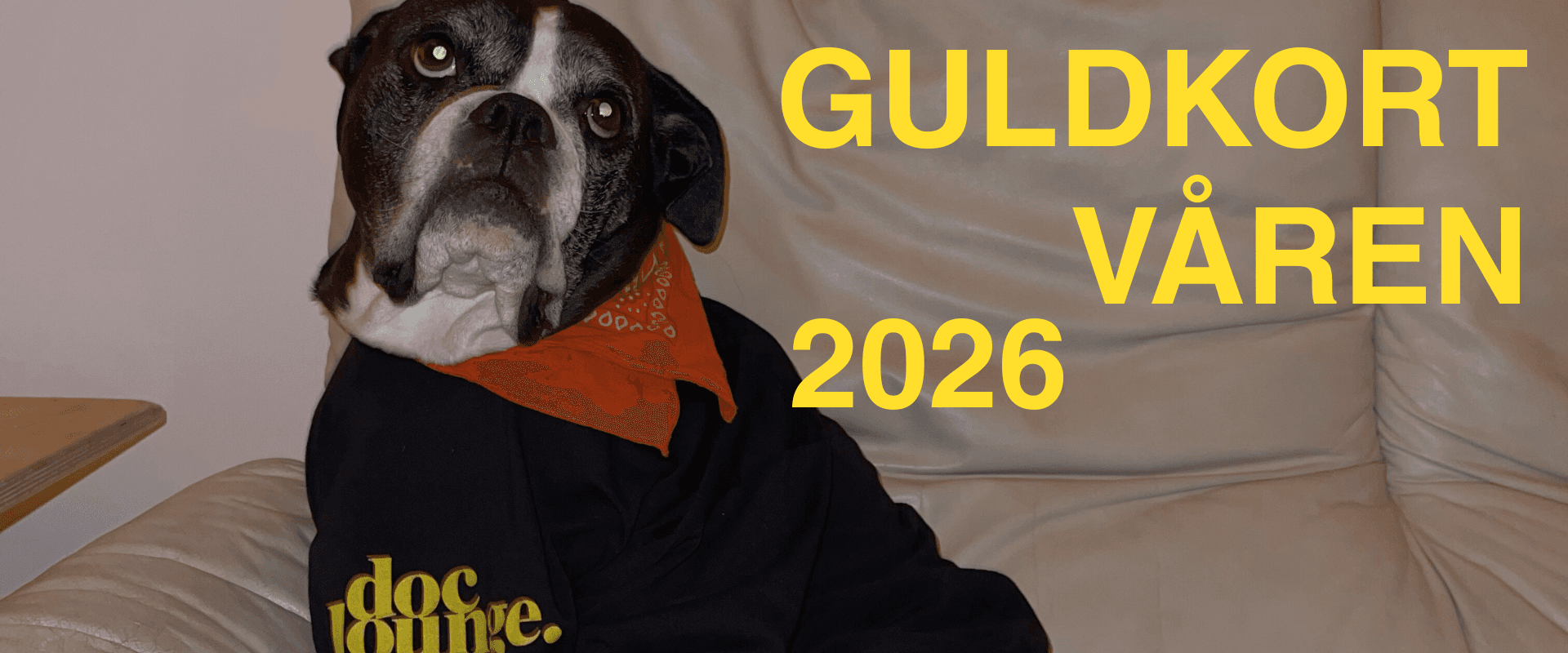 image for GULDKORT VÅREN 2026 post
